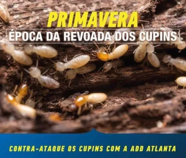 Descupinização